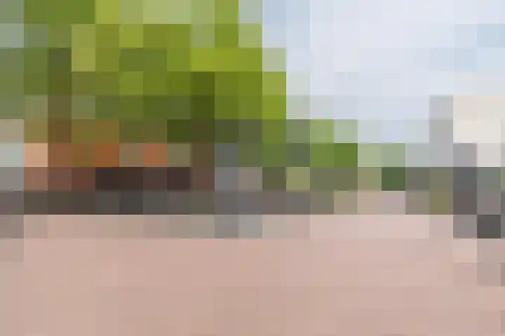 het Hool 6 C Helmond thumbnail 12