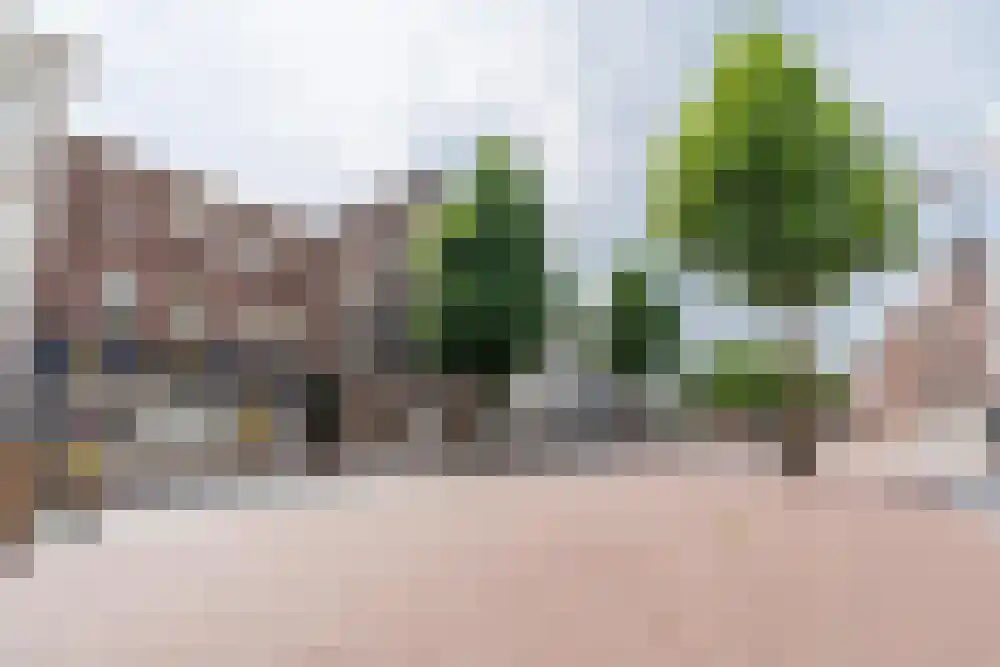 het Hool 6 C Helmond thumbnail 13