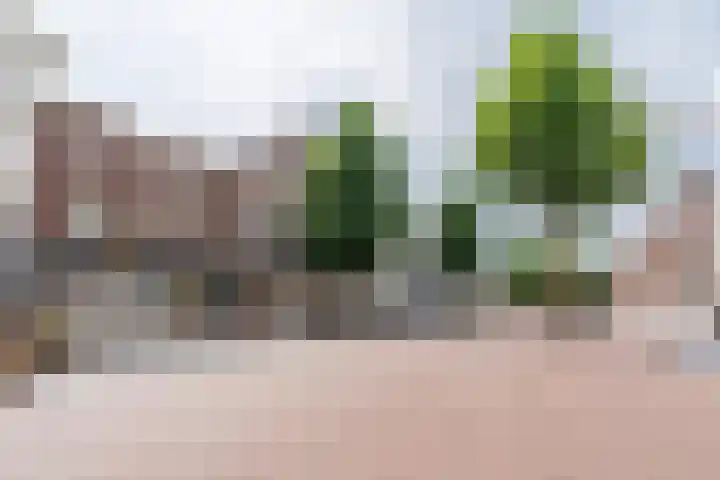 het Hool 6 C Helmond thumbnail 13