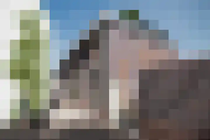 het Hool 6 C Helmond thumbnail 4