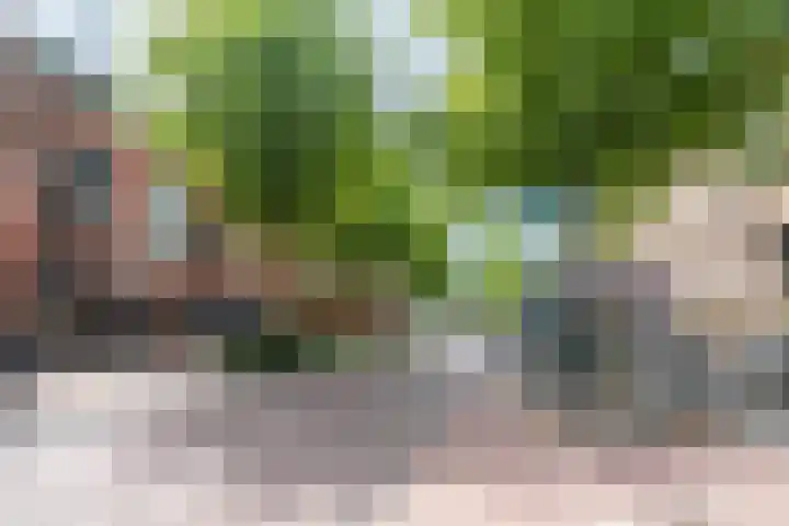 het Hool 6 D Helmond thumbnail 11