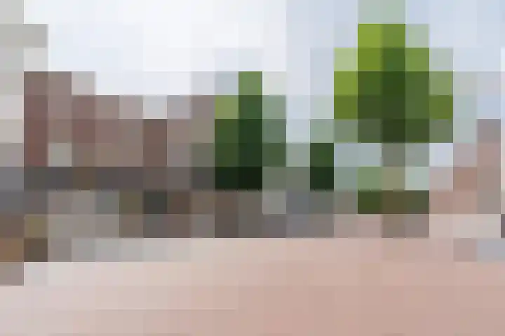 het Hool 6 D Helmond thumbnail 13
