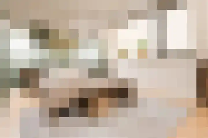 het Hool 6 D Helmond thumbnail 5