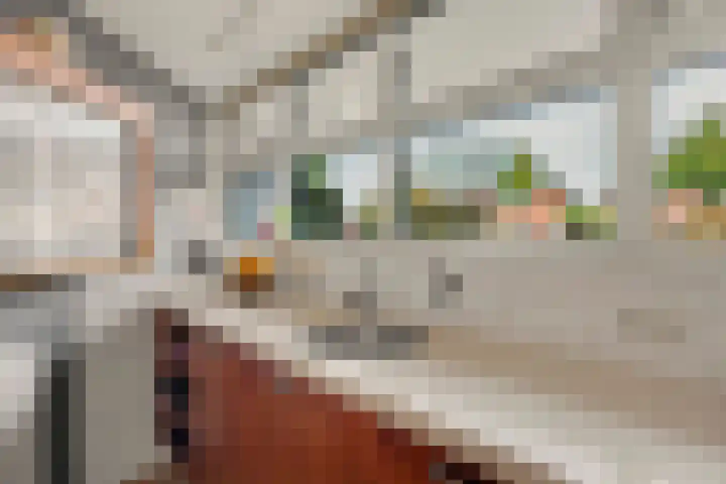 Het Horseler 44 Warnsveld thumbnail 16