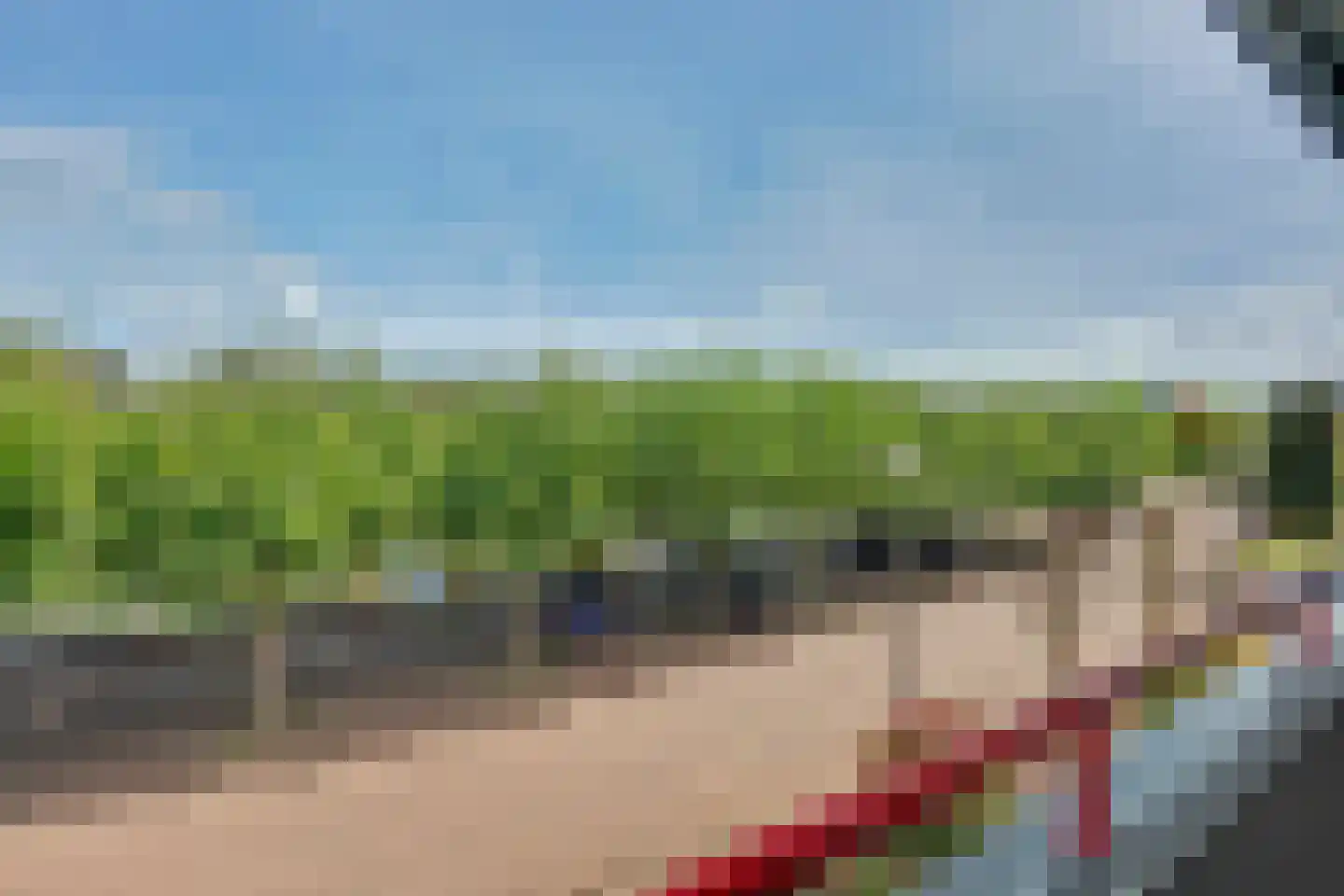 Het Horseler 44 Warnsveld thumbnail 25