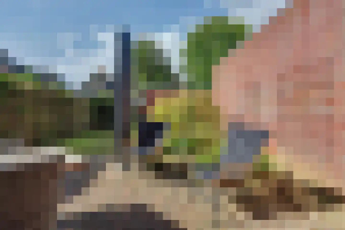 Het Horseler 44 Warnsveld thumbnail 43