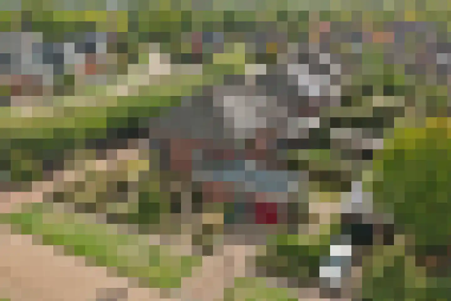 Het Horseler 44 Warnsveld thumbnail 58