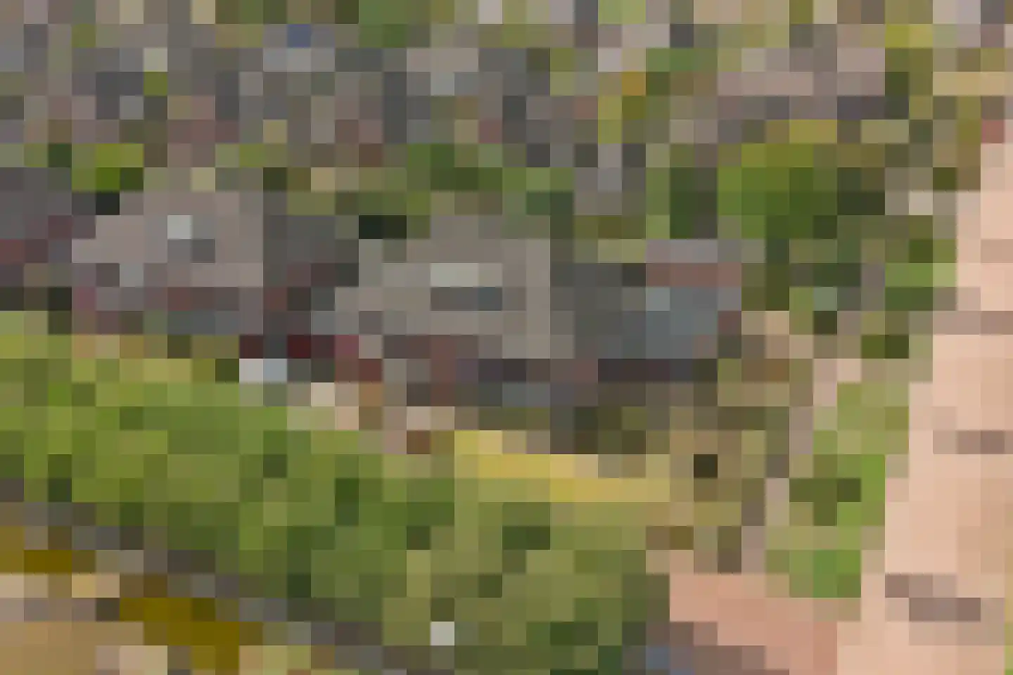 Het Horseler 44 Warnsveld thumbnail 59