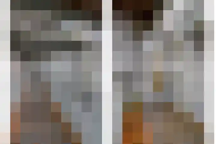 Het Hout 100 Groningen thumbnail 10