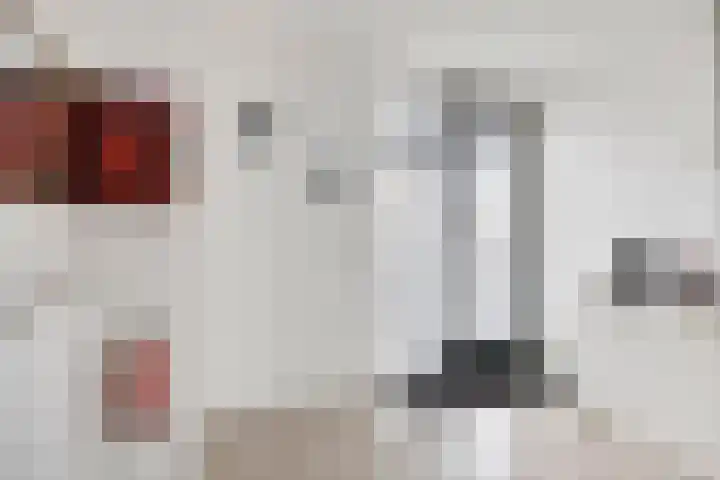 Het Hout 100 Groningen thumbnail 12