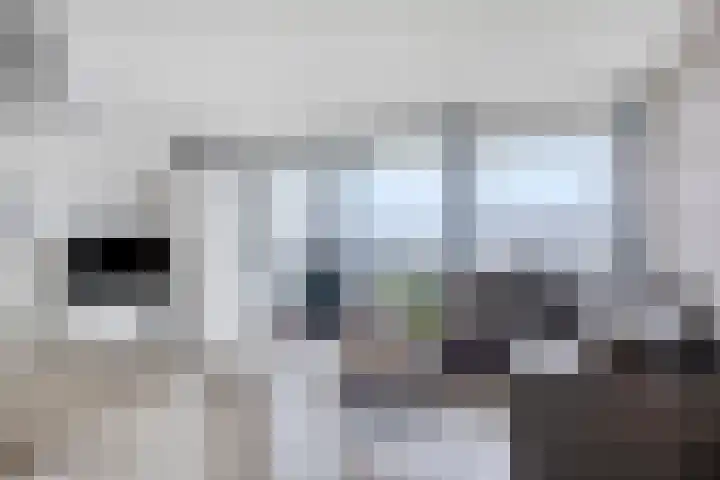 Het Hout 100 Groningen thumbnail 14