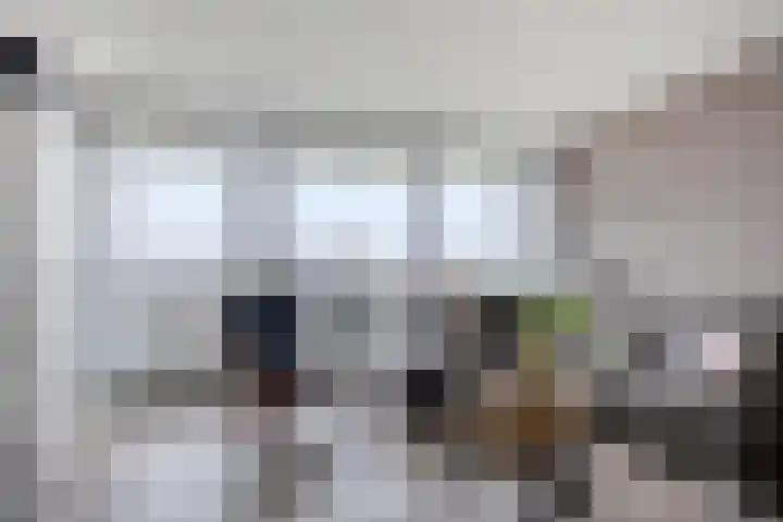 Het Hout 100 Groningen thumbnail 15