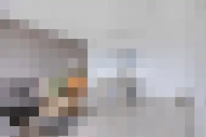 Het Hout 100 Groningen thumbnail 17