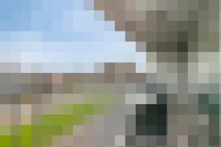 Het Hout 100 Groningen thumbnail 23