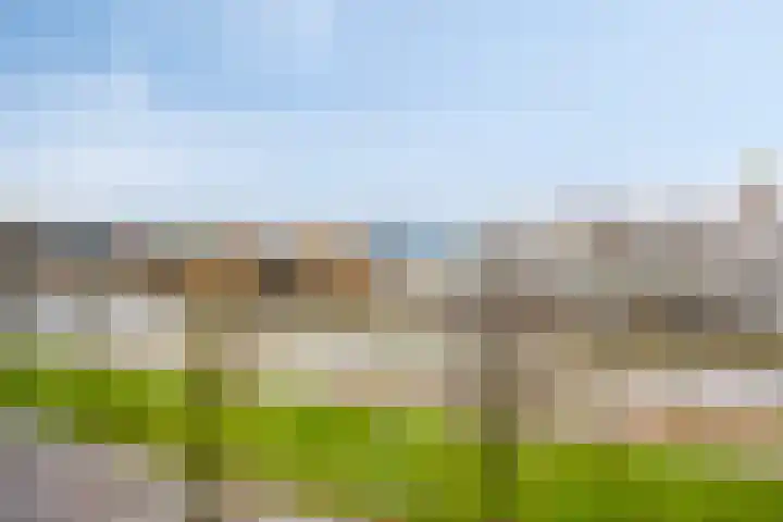 Het Hout 100 Groningen thumbnail 24