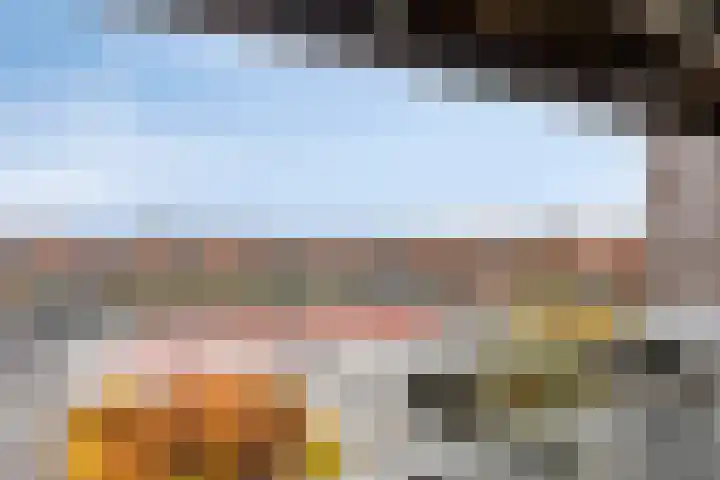 Het Hout 100 Groningen thumbnail 26