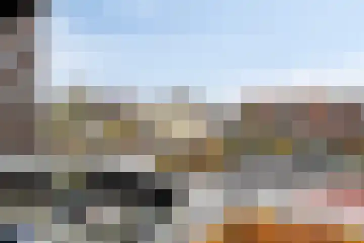 Het Hout 100 Groningen thumbnail 27