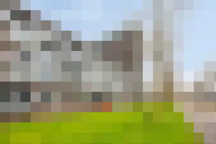 Het Hout 100 Groningen thumbnail 4