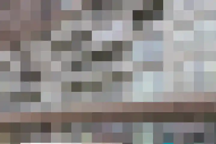 Het Hout 100 Groningen thumbnail 6