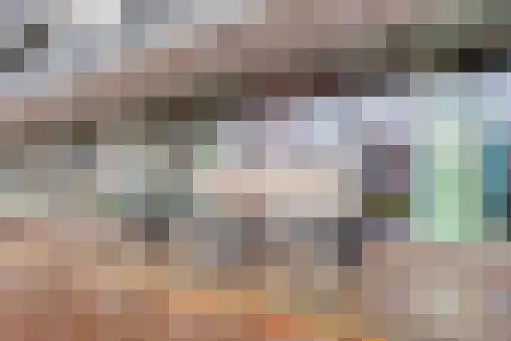 Het Hout 100 Groningen thumbnail 7
