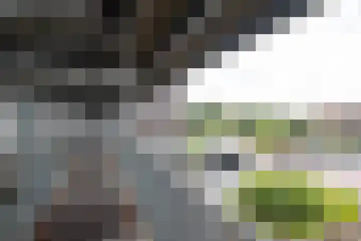 Het Hout 102 Groningen thumbnail 10