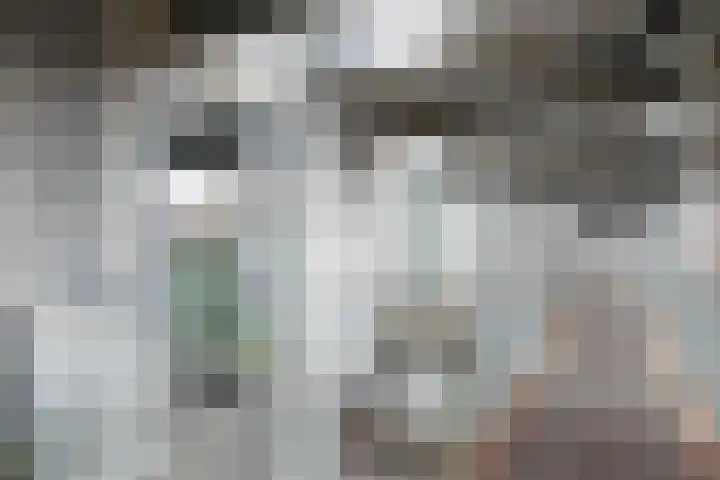 Het Hout 102 Groningen thumbnail 12