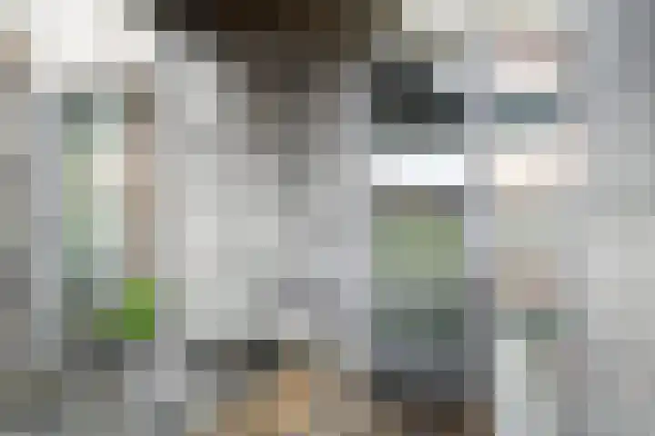Het Hout 102 Groningen thumbnail 13