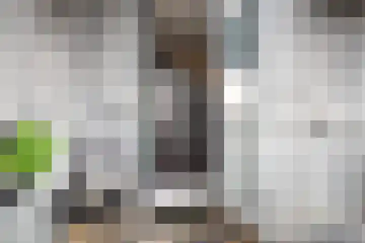 Het Hout 102 Groningen thumbnail 14