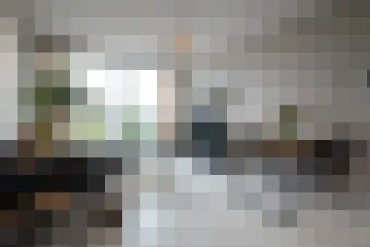 Het Hout 102 Groningen thumbnail 15