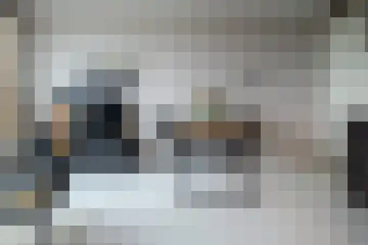 Het Hout 102 Groningen thumbnail 16