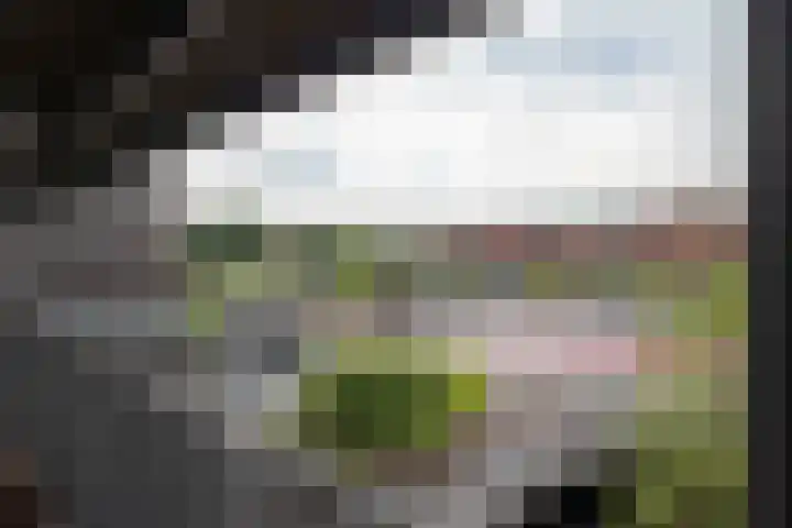 Het Hout 102 Groningen thumbnail 28