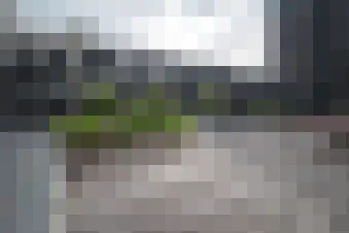 Het Hout 102 Groningen thumbnail 29
