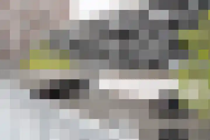 Het Hout 102 Groningen thumbnail 31