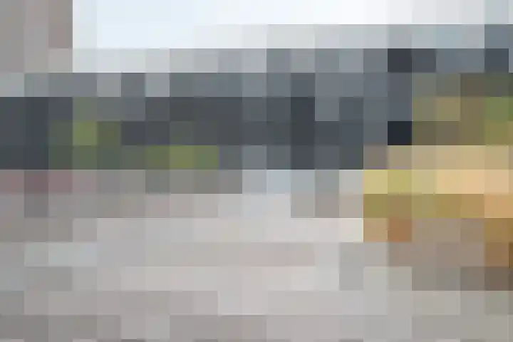 Het Hout 102 Groningen thumbnail 4