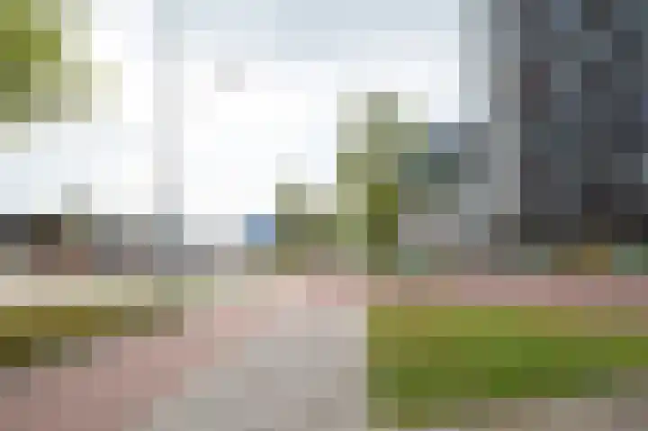 Het Hout 102 Groningen thumbnail 5