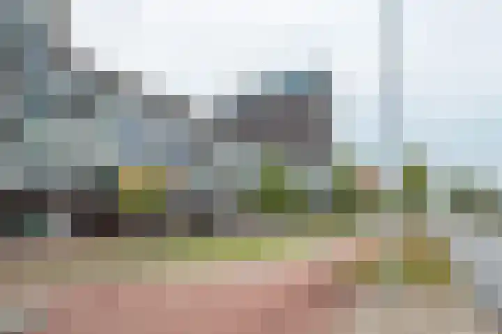 Het Hout 102 Groningen thumbnail 6