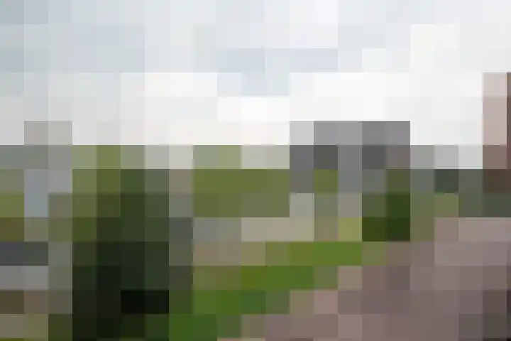 Het Hout 102 Groningen thumbnail 7