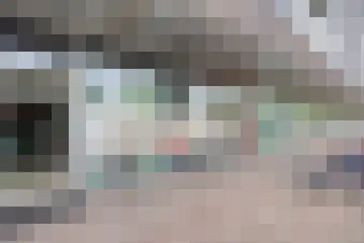 Het Hout 109 Groningen thumbnail 10