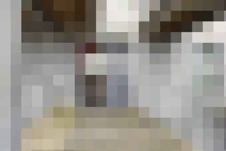 Het Hout 109 Groningen thumbnail 13