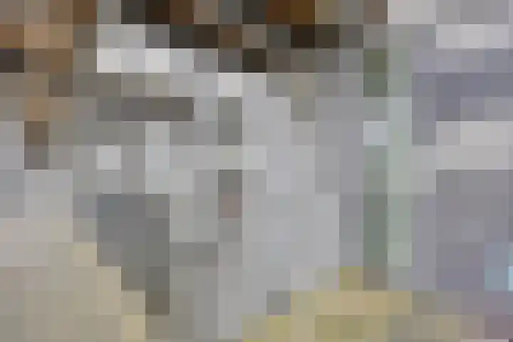 Het Hout 109 Groningen thumbnail 14