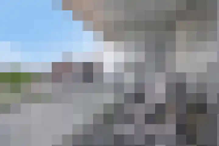 Het Hout 109 Groningen thumbnail 27