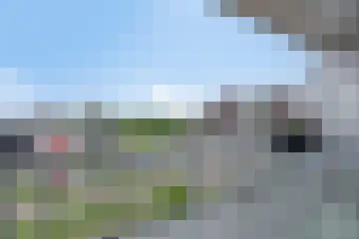Het Hout 109 Groningen thumbnail 29