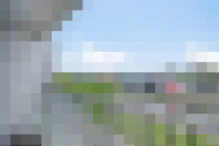 Het Hout 109 Groningen thumbnail 30