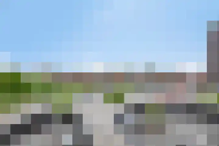 Het Hout 109 Groningen thumbnail 35