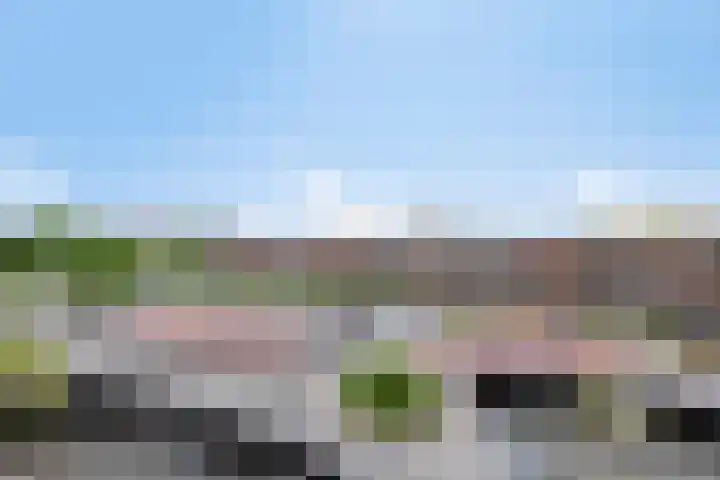 Het Hout 109 Groningen thumbnail 36
