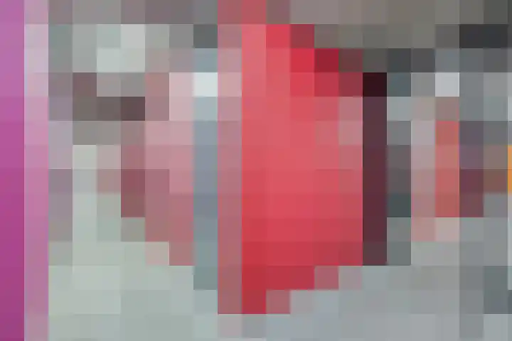 Het Hout 109 Groningen thumbnail 37