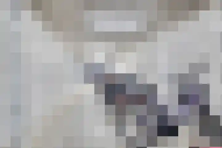 Het Hout 109 Groningen thumbnail 39