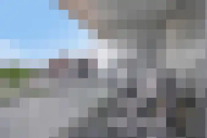 Het Hout 109 Groningen thumbnail 4