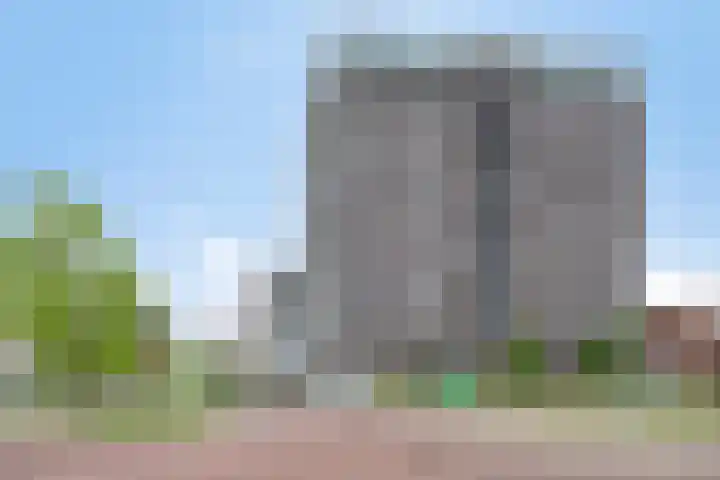 Het Hout 109 Groningen thumbnail 40