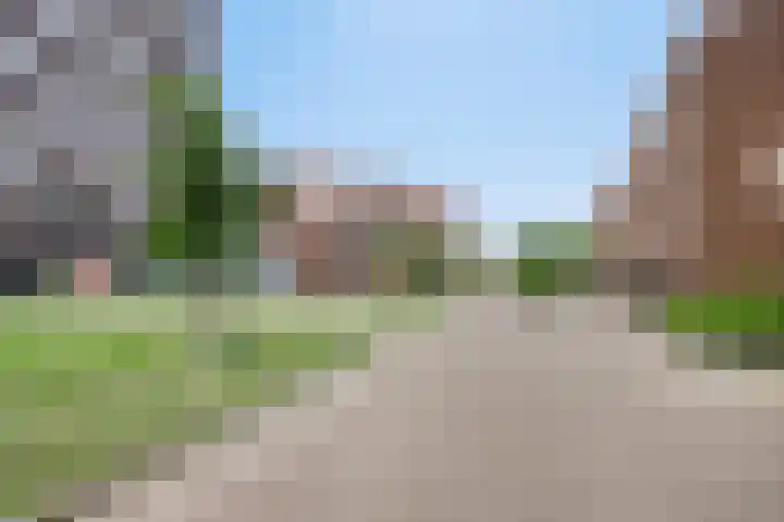 Het Hout 109 Groningen thumbnail 41